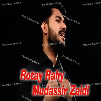 Rotay Rahy - Mudassir Zaidi album cover 