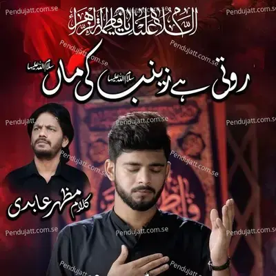 Roti Hai Zainab Ki Maa - Taha Jaffri album cover 