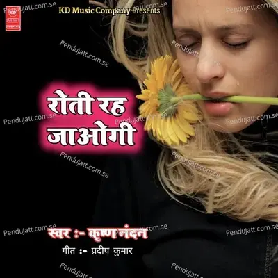 Roti Rah Jaogi - Krishna Nandan album cover 