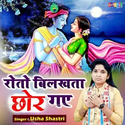 Roto Bilakhta Chhor Gaye - Usha Shastri album cover 