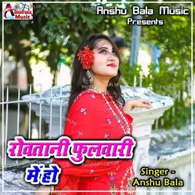 Mare Balamuwa Deyadin Ke Sojha - Anshu Bala album cover 