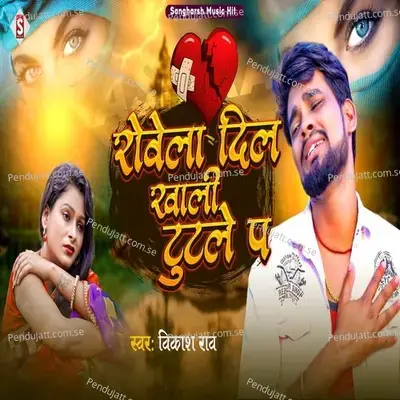 Rowela Dil Khali Tutale Pa - Vikash Rao album cover 