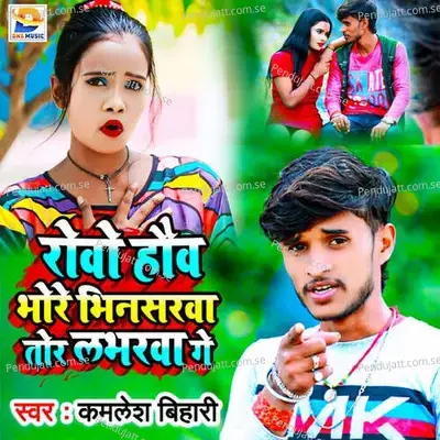 Rowo Hov Bhore Bhinsarwa Tor Labharwa Ge - Kamlesh Bihari album cover 