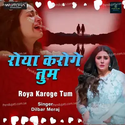 Roya Karoge Tum - Dilbar Meraj album cover 