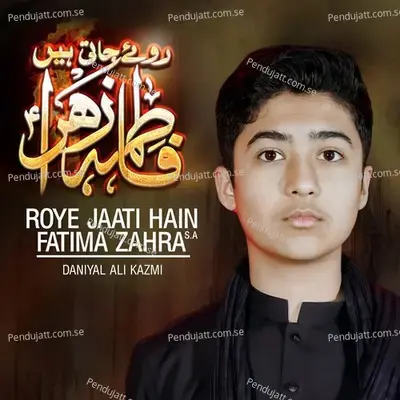 Roye Jaati Hain Fatima Zehra - Daniyal Kazmi album cover 