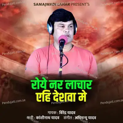 Roye Nar Lachar Aihi Deshava Me - Birendra Yadav album cover 