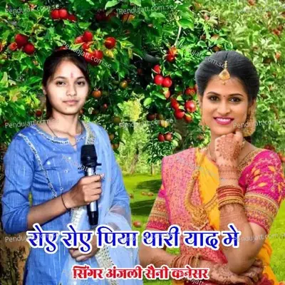 Roye Roye Piya Thari Yad M - Anjali Saini Kanesar album cover 