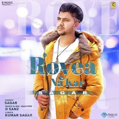 Royea Na Kar - Sagar album cover 