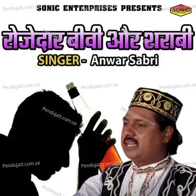 Rozedar Biwi Aur Sharabi - Anwar Sabri album cover 