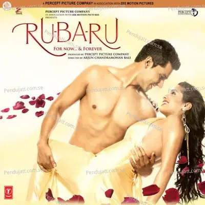 Tere Bina Hori - Sunidhi Chauhan album cover 