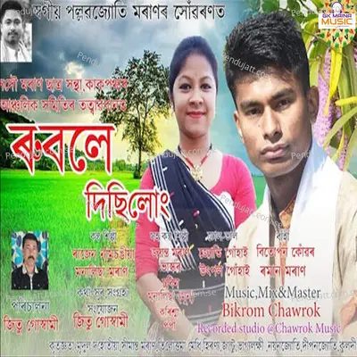 Rubole Disilung - Rajen Namsongiya album cover 