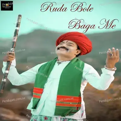 Ruda Bole Baga Me - Samdu Gurjar album cover 