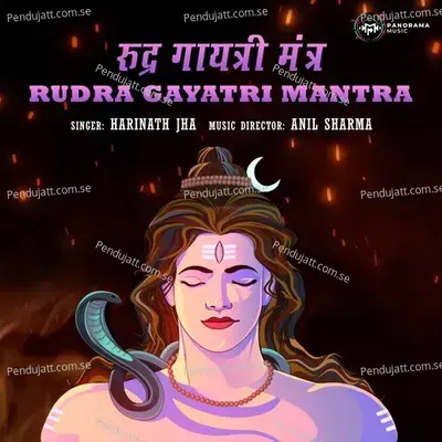 Rudra Gayatri Mantra - Harinath Jha album cover 