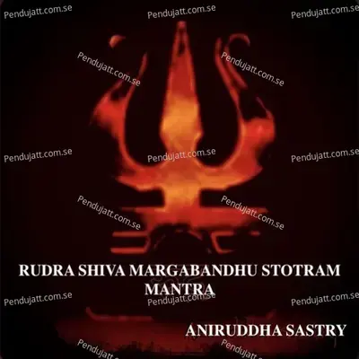 Rudra Shiva Margabandhu Stotram Mantra - Aniruddha Sastry album cover 