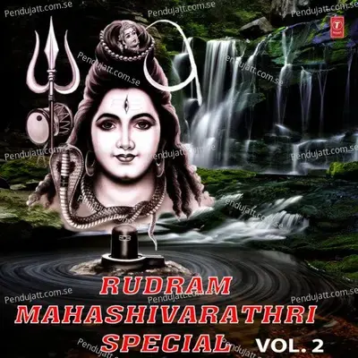 Rudra Thrisathi - Sri Hari Atchuta Rama Sastry album cover 