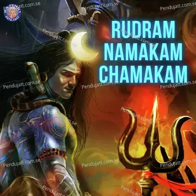 Rudram Namakam Chamakam - Various Artists cover album