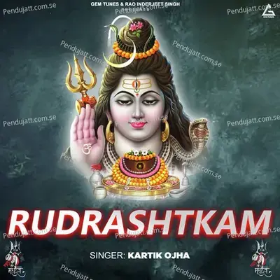 Rudrashtkam - Kartik Ojha album cover 