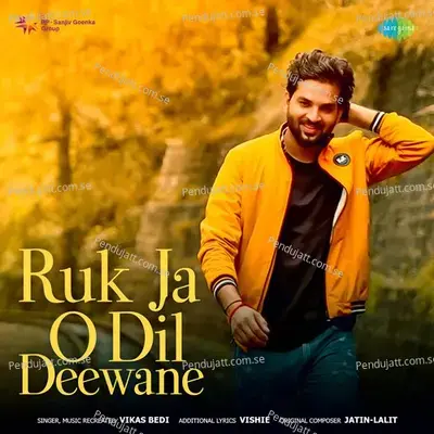 Ruk Ja O Dil Deewane - Vikas Bedi album cover 