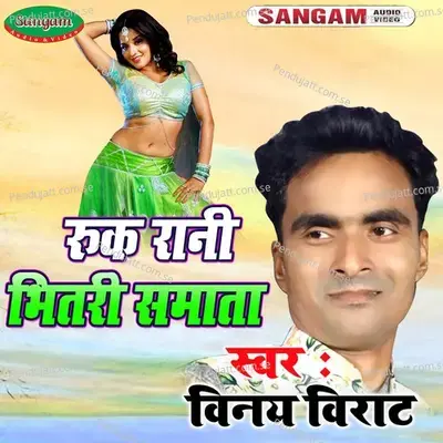 Ruk Rani Bhitare Samata - Vinay Virat album cover 