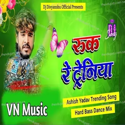 Ruk Re Tereniya - Ashish Yadav album cover 