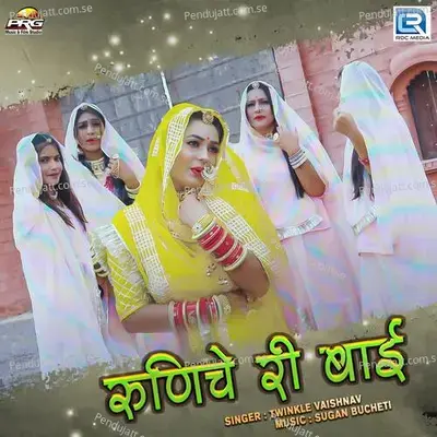 Runiche Ri Bai - Twinkal Vaishnav album cover 