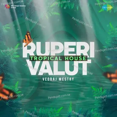 Ruperi Valut - Tropical House - Vedraj Mestry album cover 