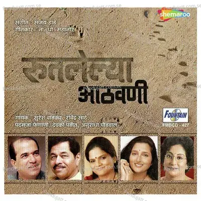 Dyave Aalingan - Ravindra Sathe album cover 