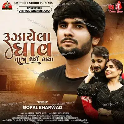 Ruzayela Ghav Taja Thai Gaya - Gopal Bharwad album cover 