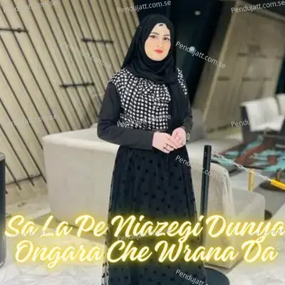 Sa La Pe Niazegi Dunya Ongara Che Wrana Da - Fayaz Khan album cover 