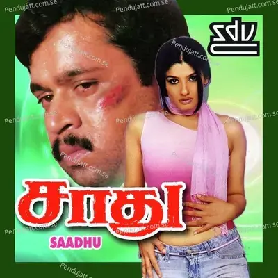 Saadhu - Ilaiyaraaja cover album