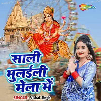 Saali Bhulaili Mela Me - Vishal Singh album cover 