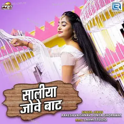 Saaliya Jove Baat - Rakesh Vaishnav album cover 