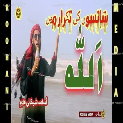 Saanso Ki Takraar - Osama Aazim Shaikhani album cover 