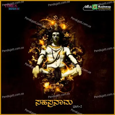 Saashranaama Pt 2 - Vijaya Lakshmi Sharma album cover 