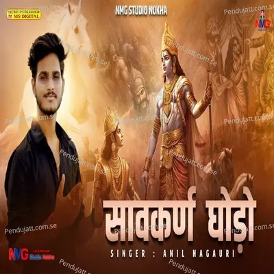 Saavakarn Ghodo - Anil Nagori album cover 