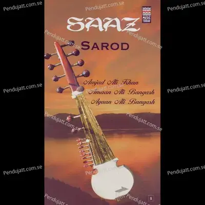 Raga Shuddha Sarang - Raga Shuddha Sarang - Teen Taal - Ustad Amjad Ali Khan album cover 