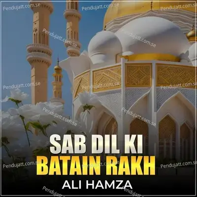 Sab Dil Ki Batain Rakh - Ali Hamza album cover 