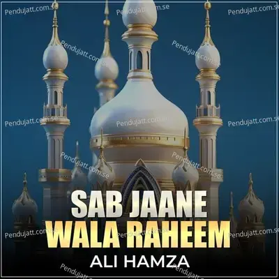 Sab Jaane Wala Raheem - Ali Hamza album cover 