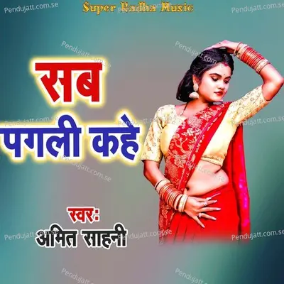 Sab Pagali Kahe - Amit Sahni album cover 