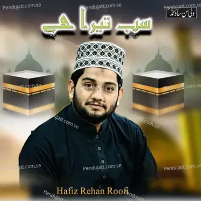 Rut Lang Gai Fer Baharan Di - Hafiz Rehan Roofi album cover 