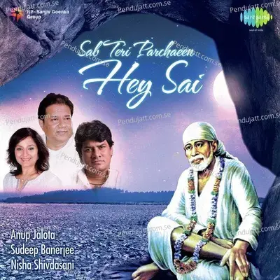 Man Re Sai Se Preet Lagaale - Nisha Shivdasani album cover 