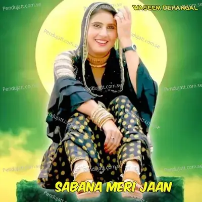 Sabana Meri Jaan - Waseem Dehangal album cover 