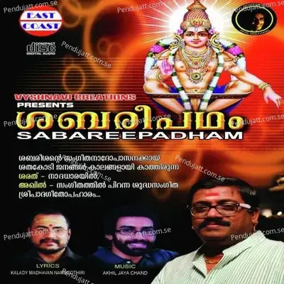 Vedangal Thedunna - Thushar Muralikrishna album cover 