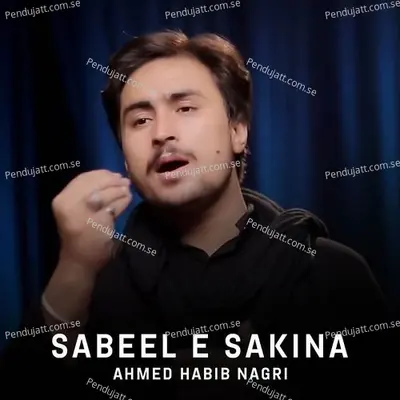 Sabeel E Sakina - Ahmed Habib Nagri album cover 