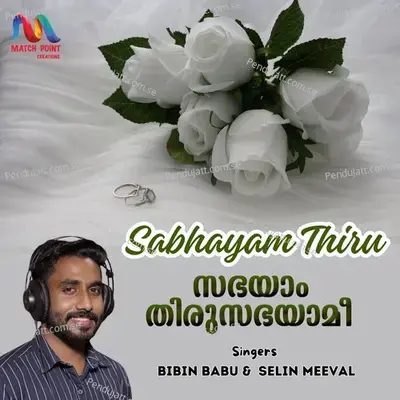 Sabhayam Thiru - Bibin Babu album cover 