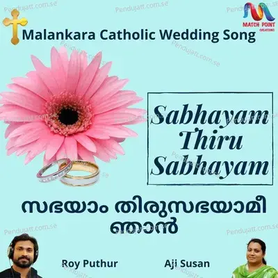 Sabhayam Thiru Sabhayam - Single - Roy Puthur