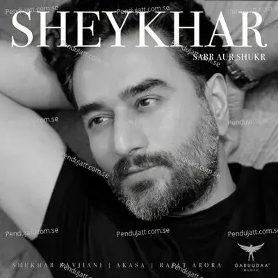 Sabr Aur Shukr - Shekhar Ravjiani album cover 