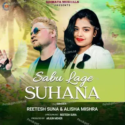 Sabu Lage Suhana - Reetesh Suna album cover 