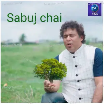 Sabuj Chai - Nirmalya Roy album cover 