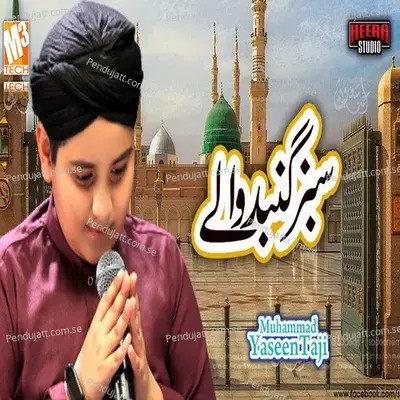 Sabz Gumbad Walay - Muhammad Yaseen Taji album cover 